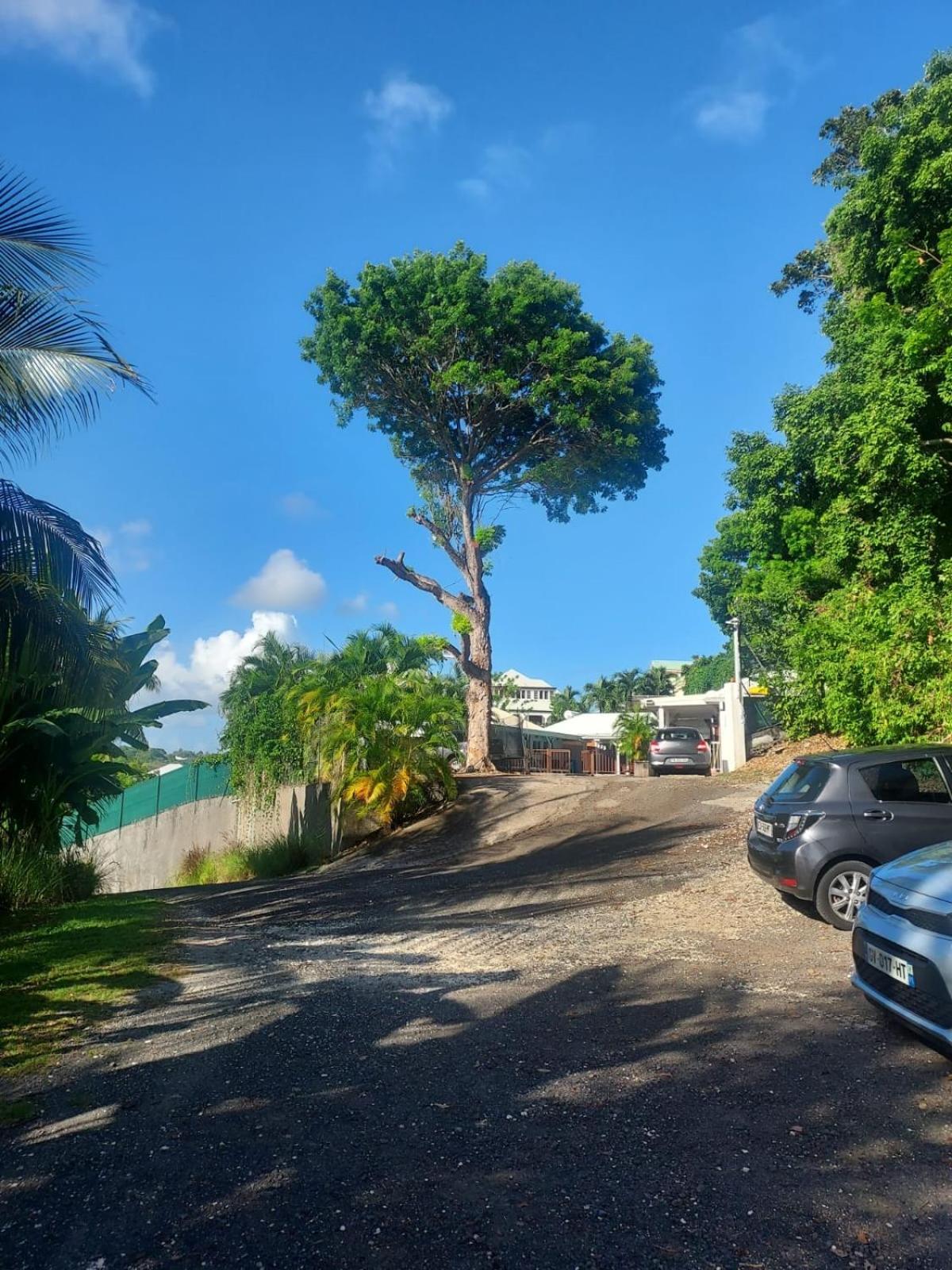 Apartmán Location Dampierre Le Gosier  Exteriér fotografie